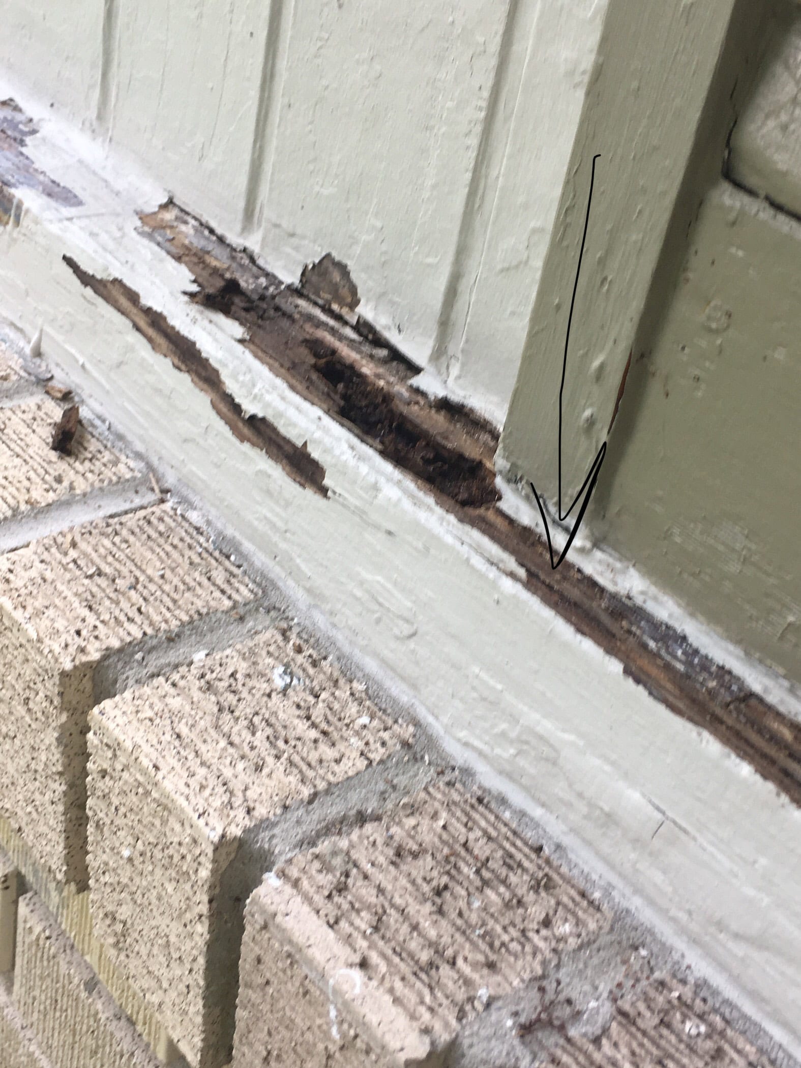 Wood Rot Repair Corspaint